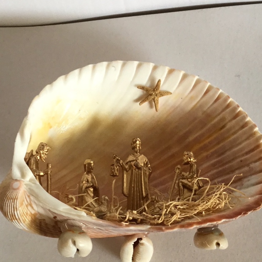 NWOB Seashell Native set - Picture 9 of 9